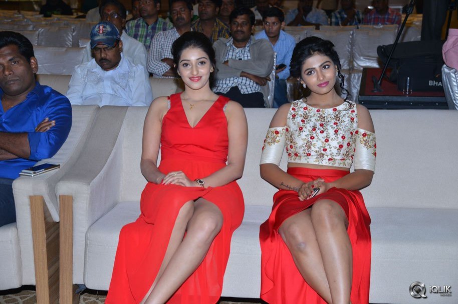 Intlo-Dayyam-Nakem-Bhayyam-Movie-Trailer-Launch